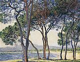 Seashore Canvas Paintings - Trees by the Seashore at Antibes